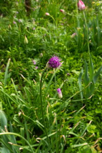 img-p2-1080361_resize.jpg