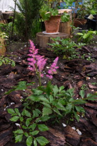 img-p2-1080355_resize.jpg