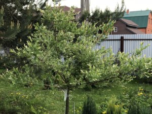 FD2D5DB5-B18D-450B-89BA-ADD23AF4EE89.jpeg