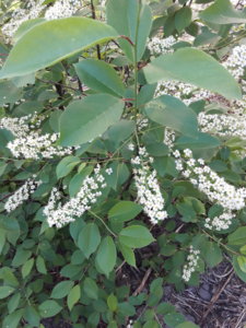 20180522_091013.jpg
