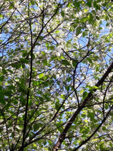 20180522_090355.jpg