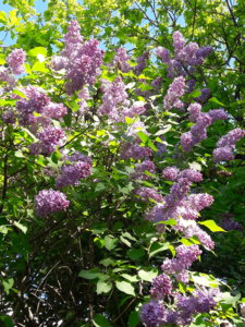 20180522_093432.jpg