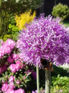 20180520_094433.jpg