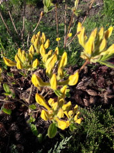 20180524_073903.jpg