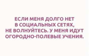 сети.jpg