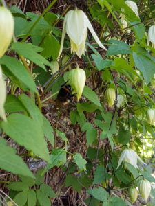20180525_092814.jpg