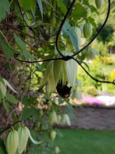 20180525_092807.jpg