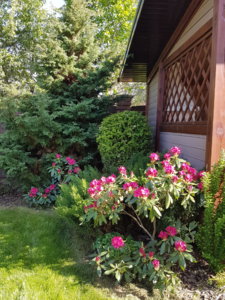 20180520_172506.jpg