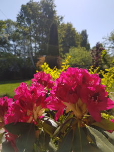 20180520_101114.jpg