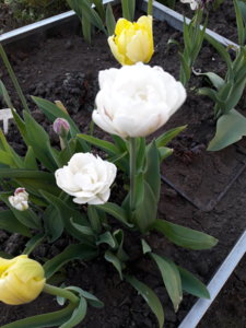 20180527_210910.jpg