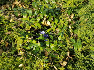 20180503_180258.jpg