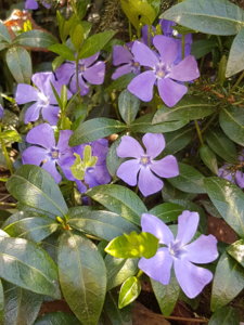 20180509_132101.jpg