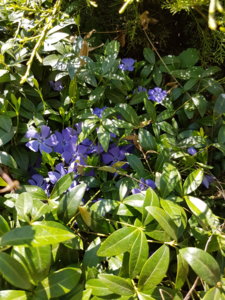 20180509_132136.jpg