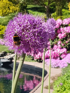 20180521_093303.jpg