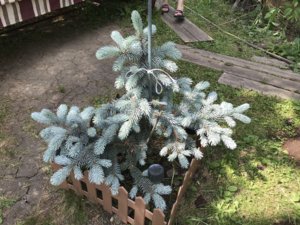DA1C7307-F558-41CB-AD08-6519B0D24A86.jpeg