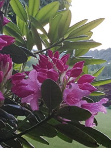20180524_212428.jpg