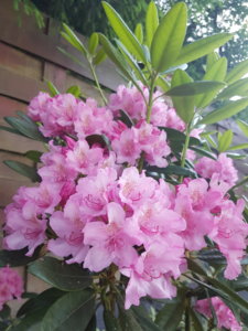 20180526_191758.jpg