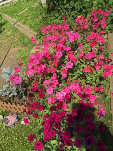 E681BB82-222B-48DD-83B1-378ABB95FDDA.jpeg