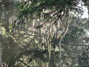 DSC00995.jpg