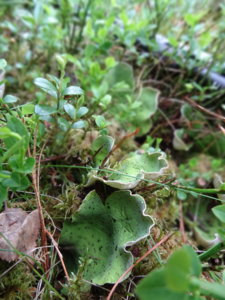DSC00905.jpg