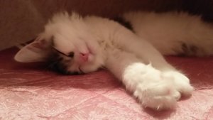 20171231_234632_LLS.jpg