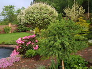 20180518_204301.jpg