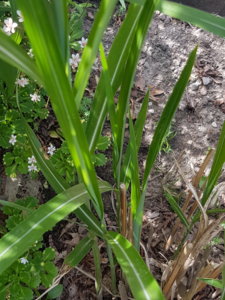 20180602_123709.jpg