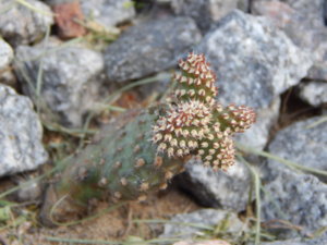 DSCN6054.JPG