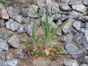 DSCN6057.JPG