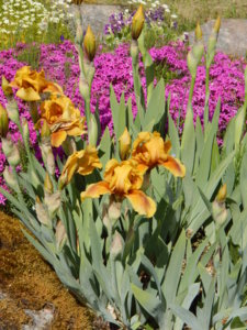 DSCN6062.JPG