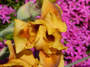 DSCN6064.JPG