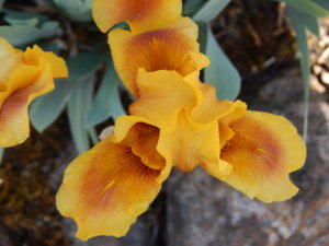 DSCN6065.JPG