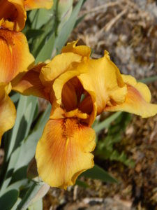 DSCN6066.JPG
