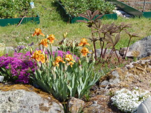 DSCN6148.JPG