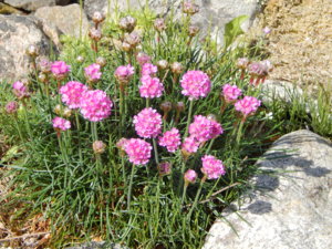 DSCN6069.JPG