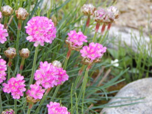 DSCN6071.JPG