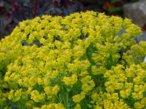 DSCN6076.JPG