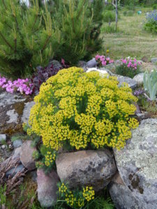 DSCN6077.JPG
