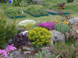 DSCN6113.JPG