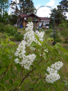 DSCN6105.JPG