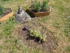DSCN6138.JPG