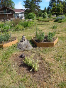 DSCN6139.JPG
