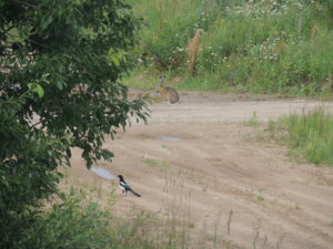 DSCN5048.JPG