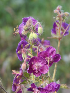 DSCN6157.JPG