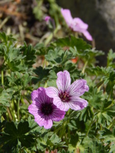 DSCN6170.JPG