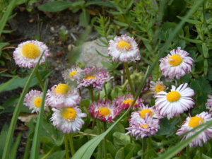 DSCN6117.JPG