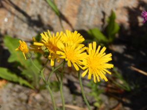 DSCN6158.JPG