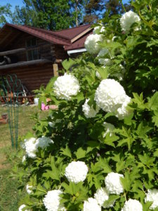 DSCN6179.JPG