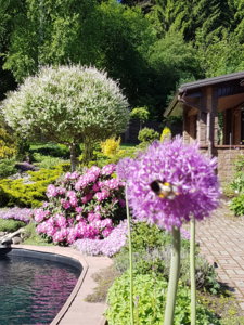 20180520_094453.jpg