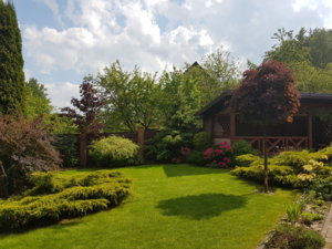 20180523_145140.jpg